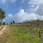 Stunning In - Near Golf & Óbidos