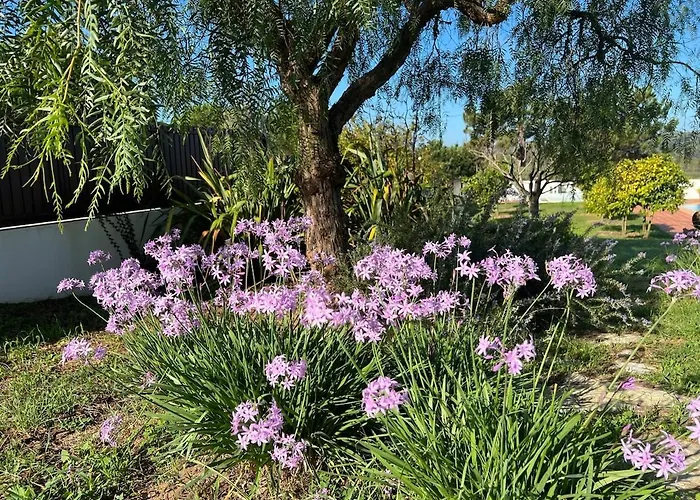 Stunning In - Near Golf&beach