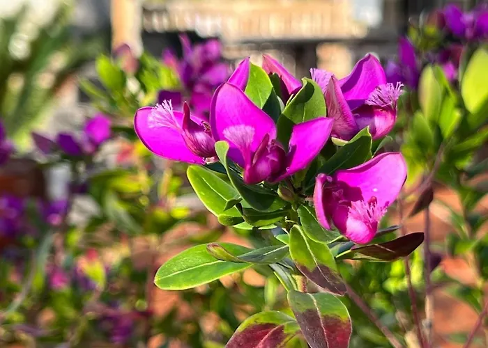 Stunning In - Near Golf & ヴィラ