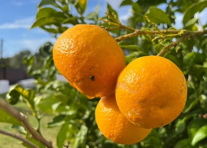 Stunning In - Near Golf &