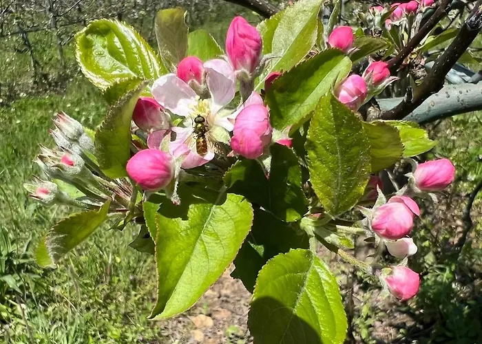 Stunning In - Near Golf & ヴィラ