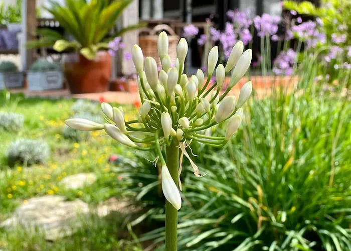 Stunning In - Near Golf & ヴィラ *