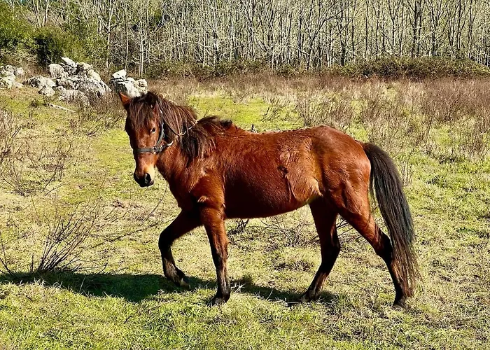 Stunning In - Near Golf&beach Villa