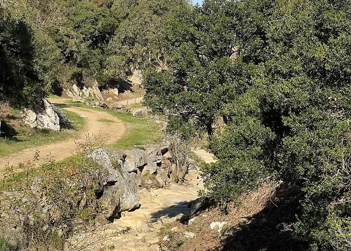 Stunning In - Near Golf&beach