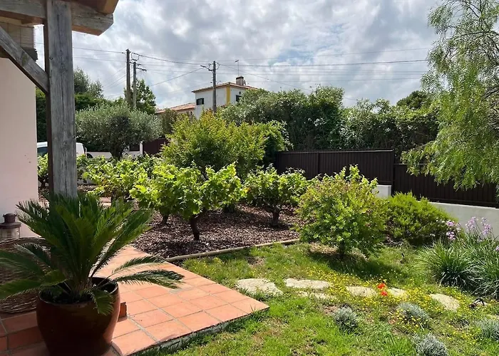 Stunning In - Near Golf & ヴィラ