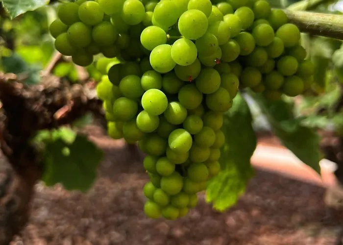 Villa Stunning In - Near Golf&beach Óbidos