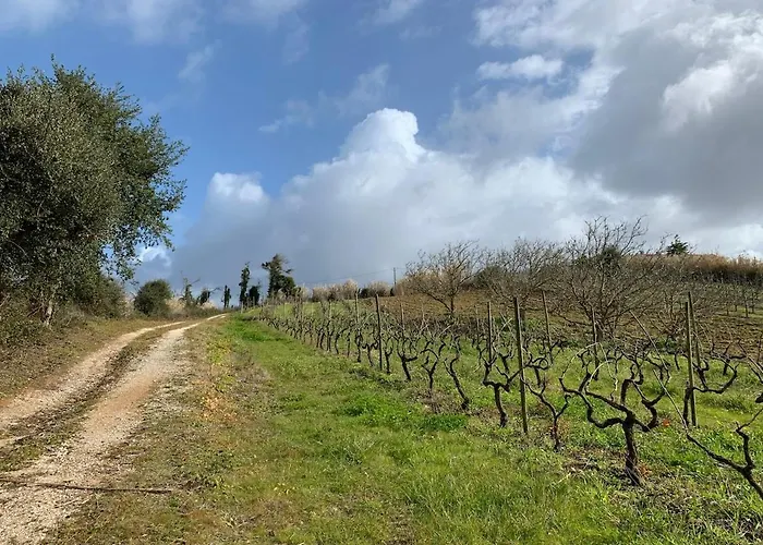 Stunning In - Near Golf&beach Óbidos
